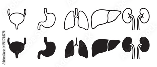 Human internal organs icons. in outline and silhouette isolated on white background.