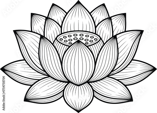 Elegant black and white illustration of a blooming lotus flower, symbolizing purity and enlightenment.