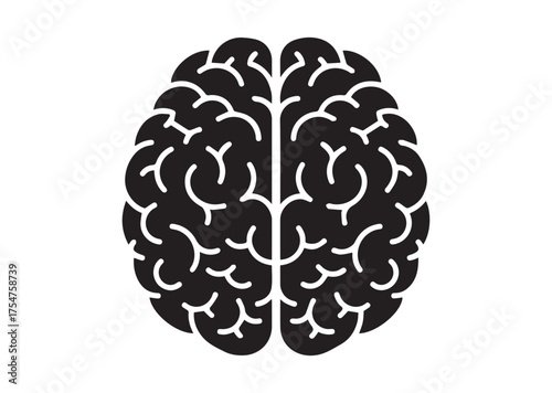 Brain icon, Brain solid vector