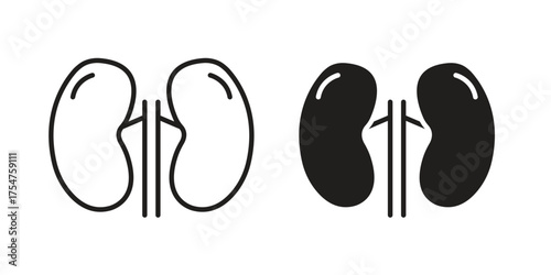 Kidney icon in vector. Logotype