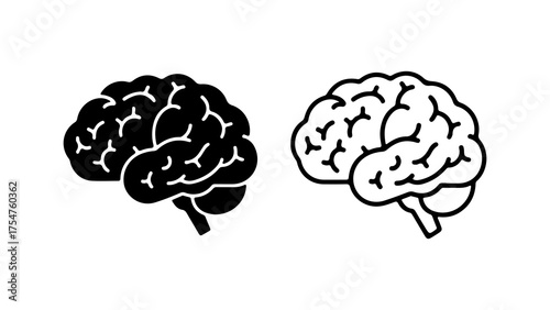 Brain anatomy outline with transparent background