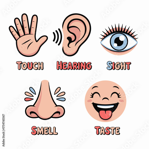 Sensory Perception Exploring the Five Senses Through Icons Representing Touch, Hearing, Sight, Smell, and Taste