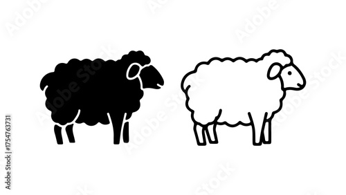 Black and white sheep with transparent background