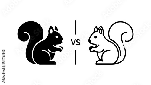 Squirrels facing off with transparent background