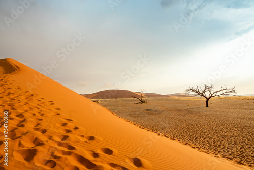 Sossusvlei in Namibia is a desert wonder, famous for its giant red dunes