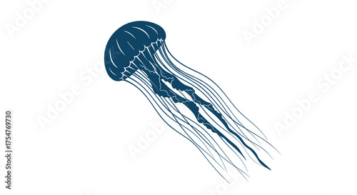 A close up depiction of a jellyfish with trailing tentacles against a white background.