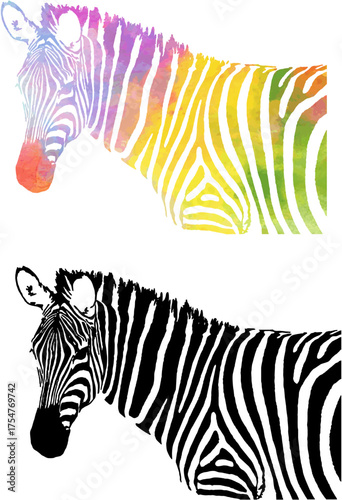Watercolor Zebra Pattern Silhouette