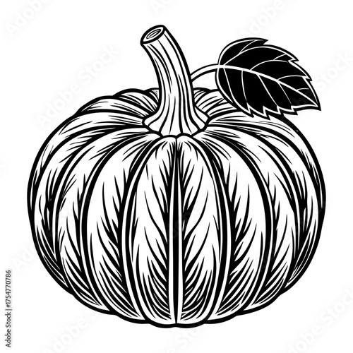 Pumpkin outline