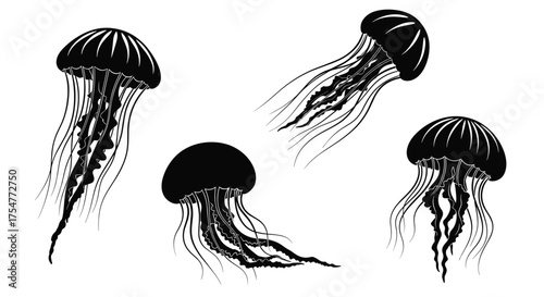 A collection of beautifully drawn jellyfish drifting through the ocean waters.