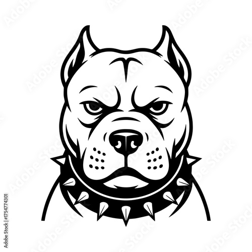 pitbull's head wearing a spiked collar