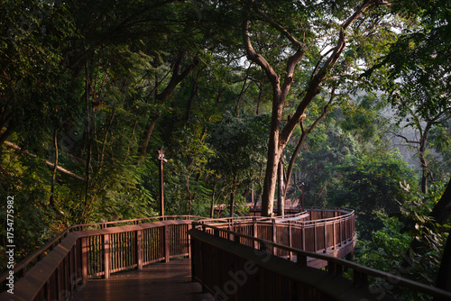 Elevated pedestrian walkway through urban forest at dusk