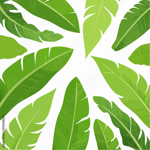 Tropical Greenery A Decorative Vector Illustration of Lush Banana Leaves in a Botanical Arrangement for Design Elements