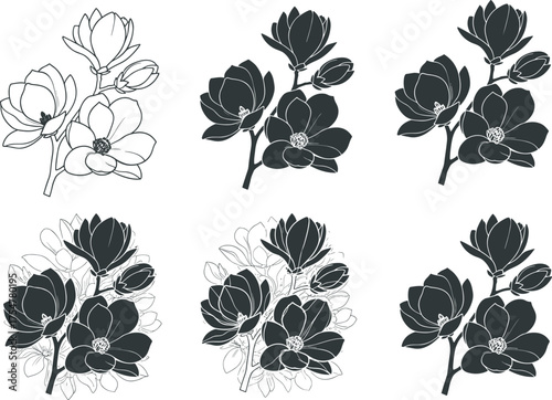 Magnolia flower illustrations, botanical line art, shaded floral graphics, black and white bloom sketches, nature drawing styles, vector floral elements, isolated artwork