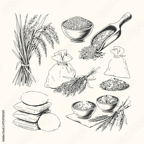 Vector art of handdrawn illustration of rice grains, stalks, and bags, showcasing the harvest and preparation process
