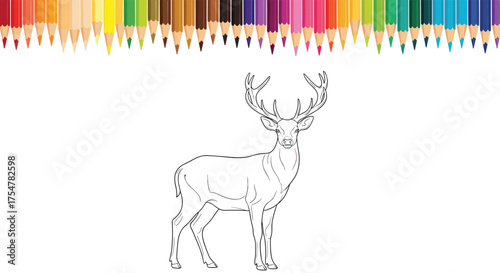 A outline drawing of a majestic stag with antlers on a white background with colorful pencils at the top.