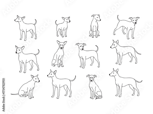  dogs icon set vector