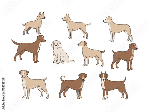  dogs icon set vector