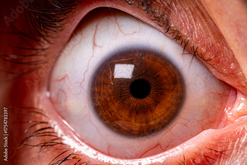 Macro shot of a human eye with detail. Close-up of a human eye. Human eye showing iris and pupil detail.
