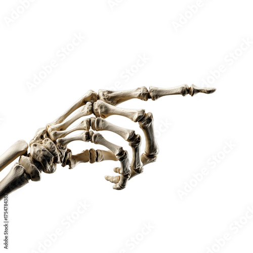Skeleton hand pointing halloween concept anatomy bone finger direction black background spooky dead scary 100