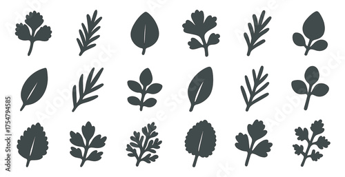 Herb and leaf silhouette icons set – flat, outline, botanical and plant symbols