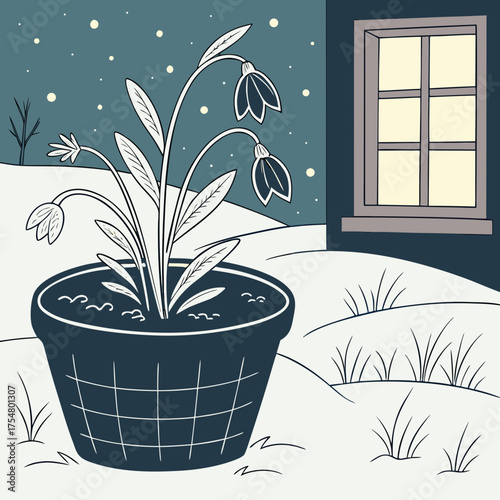 Potted snowdrop flower in winter landscape with window