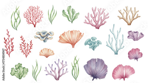 Seaweeds and coral reef underwater plans vector collection. Aquarium, ocean and marine algae water plants, corals isolated on white. Seaweeds polyps silhouettes set. Laminaria kelp and other