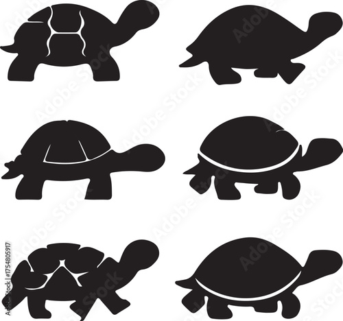 Six Turtle Silhouettes with Varied Shell Patterns tortoise