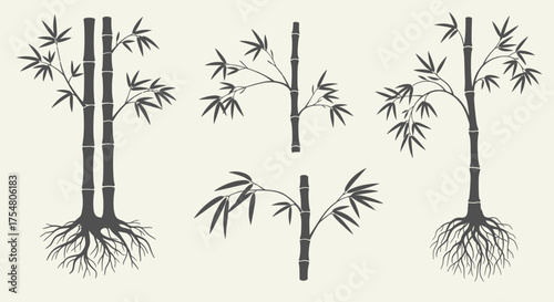 Collection of stylized bamboo plants with visible root systems and leafy branches.