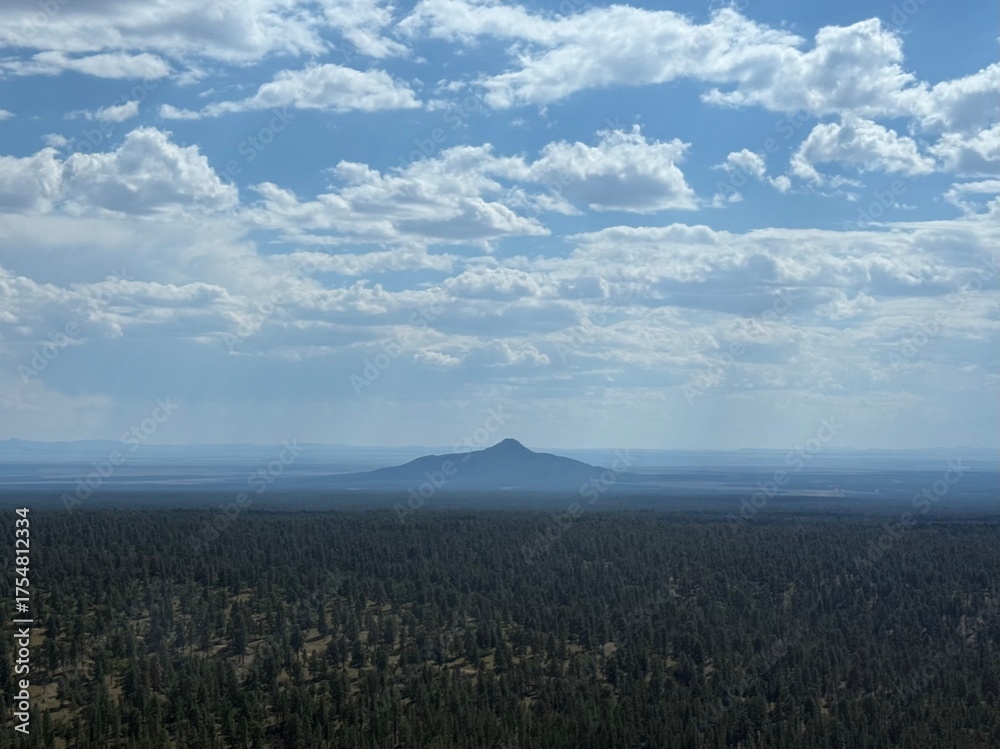Fototapeta premium Vast Canyon Landscape: Beautiful, sweeping view of the majestic national park, showcasing wonderful layers of natural rock formations.