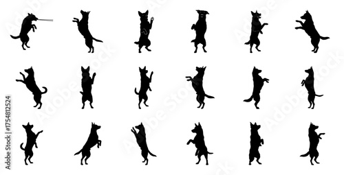 Dog silhouette standing on hind legs playful