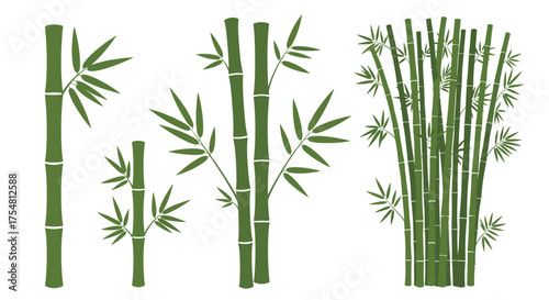 A collection of green bamboo stalks with leaves in various sizes and arrangements.
