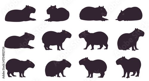 Diverse silhouettes of capybaras in various relaxed poses and stances for educational or design purposes.