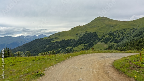 Path through a green mountain landscape with foresr under a cloudy sky in La Vanoise nature reserve, Savoie, France 