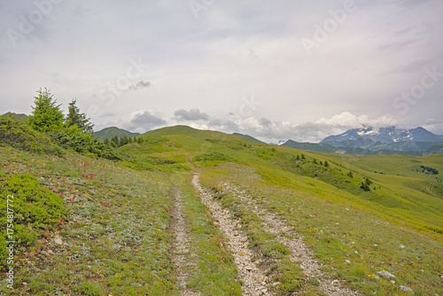 hiking trail through a green mountain landscape under a cloudy sky in La Vanoise nature reserve, Savoie, France 
