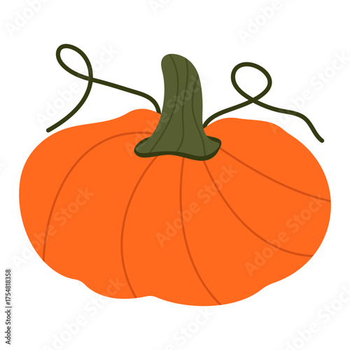 Pumkins Vector Illustration
