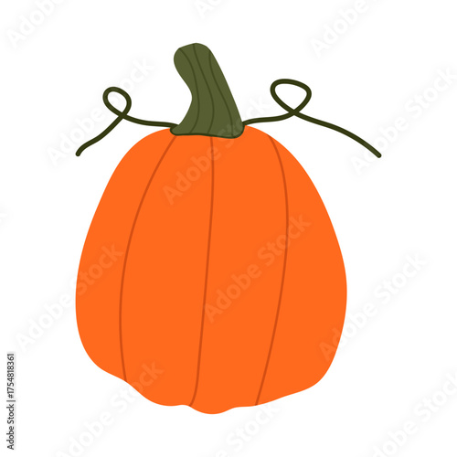 Pumkins Vector Illustration