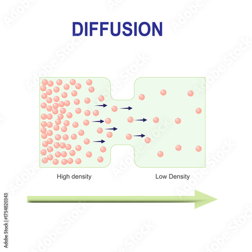  scientific scheme of diffusion. Movement of molecules, ions, and atoms from an area of higher or high concentration to an area of lower or low concentration.
