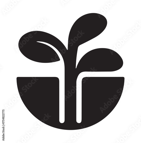 Seedling Emergence A Visual Depiction of Growth,  New Beginnings and the  resilient nature of life.