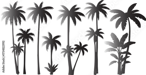 Collection of silhouetted palm trees against a white background ideal for tropical designs