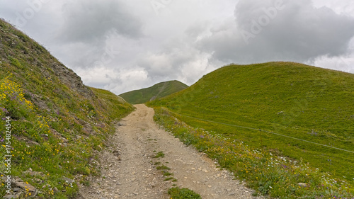 hiking trail through a green mountain landscape under a cloudy sky in La Vanoise nature reserve, Savoie, France 