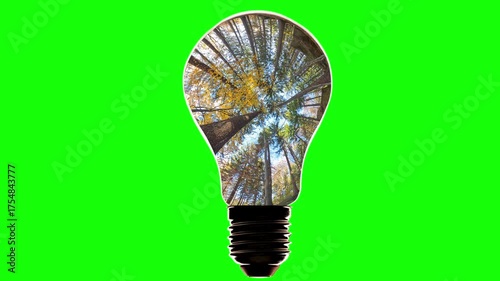 The energy of light. observing the cyclical change of seasons, symbolizes the transition from autumn to winter and from spring to summer. Green screen.
