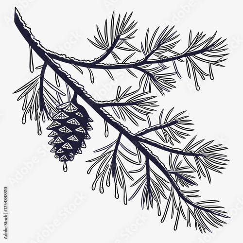 black and white pine branch with pinecone clip art preview