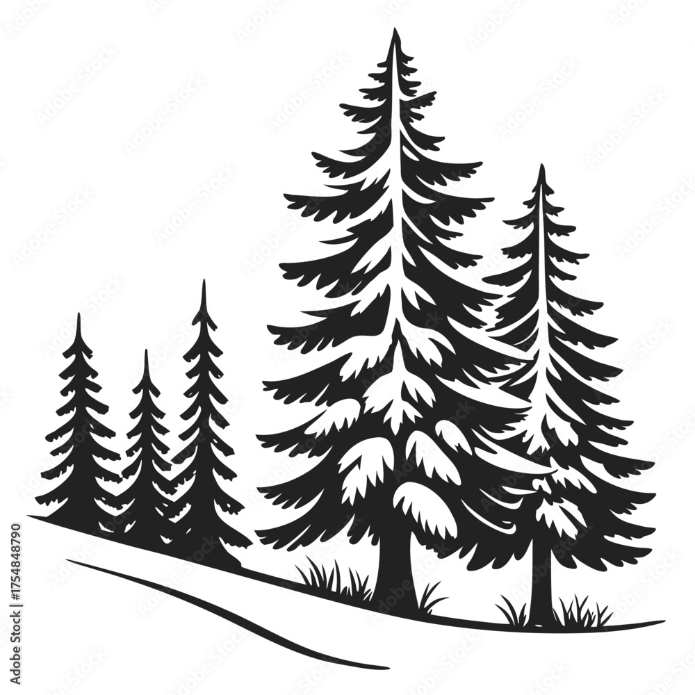 Obraz premium Pine trees in a forest