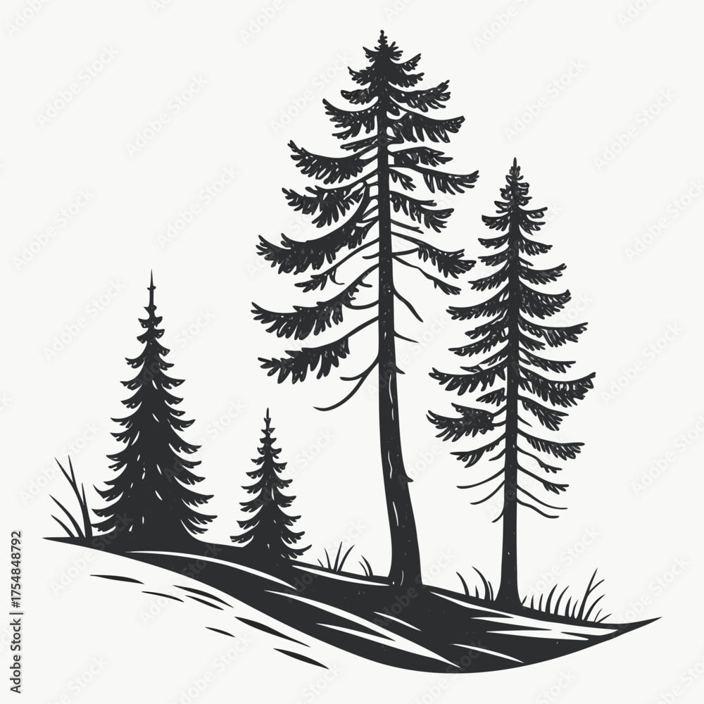 Obraz premium Monochrome illustration of a forest with various trees