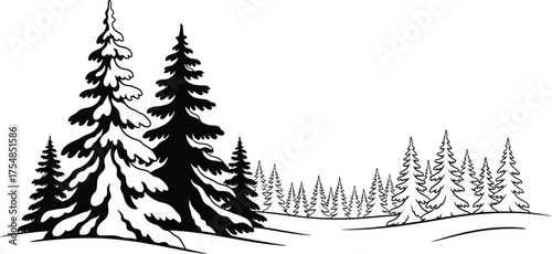 Winter trees snow forest nature landscape christmas holiday season woods cold