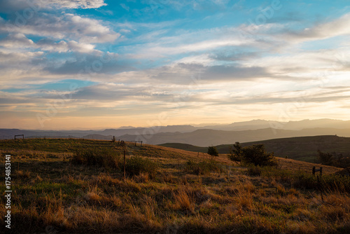 Mountain pasture at dusk