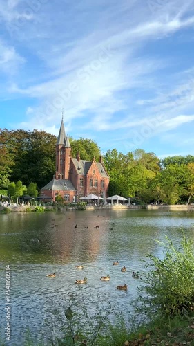 Lake with swimming ducks and old castle on background. Beautiful vertical travel footage.