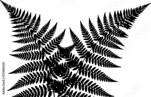 Photography Fern fronds create a natural, organic design element perfect for botanical print