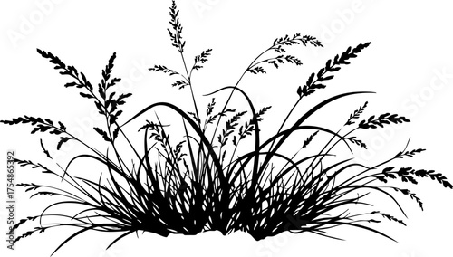 Фотография Elegant silhouette of wild grass with delicate seed heads swaying gently, perfec