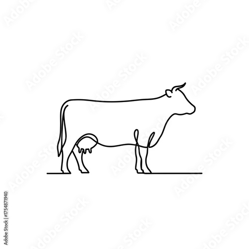 Fresh coconuts isolated on white background